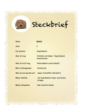 Grafik eines Steckbriefs